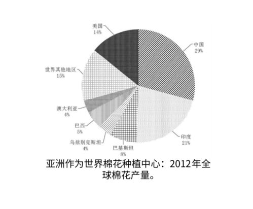 机器与数据,棉田里的边缘战事